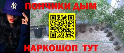 дживик Пенза