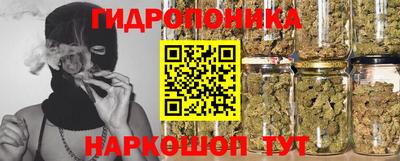 дживик Пенза